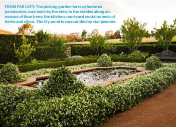  ??  ?? FROM FAR LEFT: The picking garden terrace features penstemon, rose and iris; the view to the stables along an avenue of lime trees; the kitchen courtyard contains beds of herbs and citrus. The lily pond is surrounded by star jasmine.