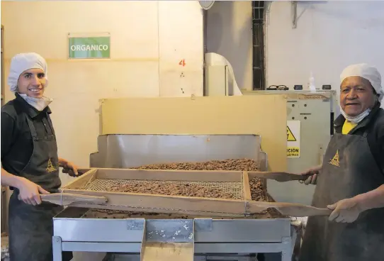  ??  ?? A behind-the-scenes look at the chocolate factory, where beans are sorted before making their way into the chocolate-mixing machine.