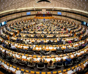  ??  ?? EUROPEAN PARLIAMENT: We need an eyes-wide-open approach to the European Union