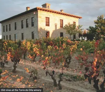  ??  ?? Old vines at the Torre de O–a winery