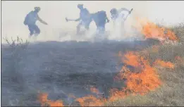  ?? KENT PORTER — THE PRESS DEMOCRAT ?? A Cal Fire’s crew assists in putting out a 12-acre brush fire in Larkfield on Thursday.