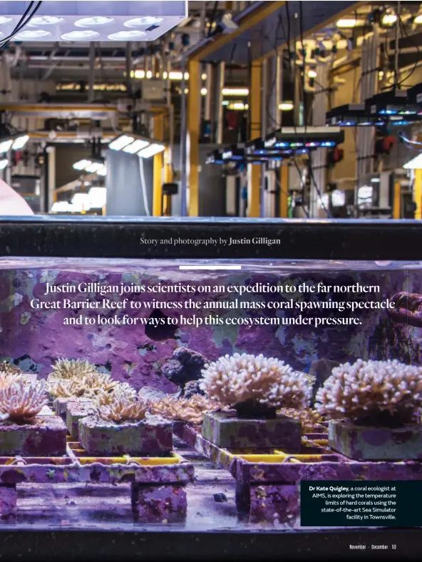  ??  ?? Dr Kate Quigley, a coral ecologist at AIMS, is exploring the temperatur­e limits of hard corals using the state-of-the-art Sea Simulator facility in Townsville.