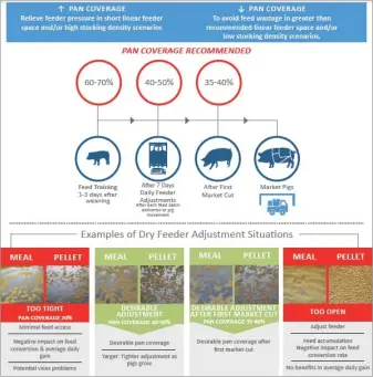  ?? PHOTOS: SUPPLIED ?? This illustrati­on shows where farmers can save costs when it comes to pig feed.