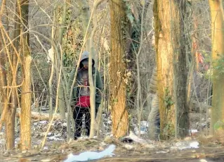  ??  ?? Degrado
Il «bosco della droga» a Rogoredo. L’area è controllat­a da magrebini ed è gestita da «squadre» con diversi incarichi per gestire lo spaccio