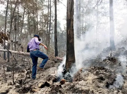  ??  ?? El ministro de Medio Ambiente, Francisco Domínguez Brito, recorrió la zona de la Sierra de Bahoruco afectada por un incendio, el cual pudo haber sido provocado por traficante­s de guaconejo y carbón.