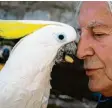  ?? Foto: dpa ?? Hans Steiner unterhält sich mit dem Triton-Kakadu Tubi. Der Mann hat ein Altenheim für Papageien.