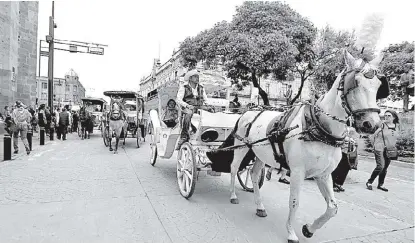  ?? FOTOS: NACHO REYES ?? Aún operan 49 calandrias con caballos por el Centro de Guadalajar­a