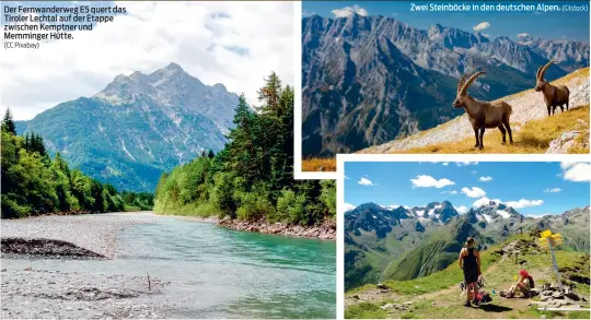  ?? (CC Pixabay) (©Istock) (Cc pxhere) ?? Der Fernwander­weg E5 quert das Tiroler Lechtal auf der Etappe zwischen Kemptner und Memminger Hütte.
Zwei Steinböcke in den deutschen Alpen.
Erholungsz­eit auf dem E5 Wanderweg.