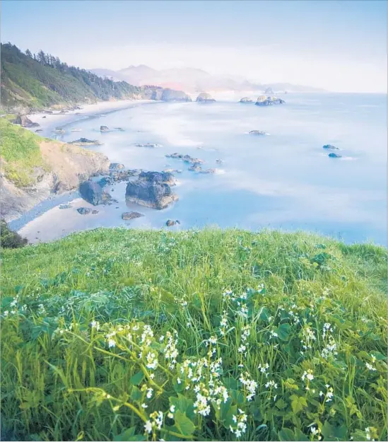  ?? James + Courtney Forte Getty Images/Aurora Open ?? ECOLA STATE PARK, on the Oregon coast just north of Cannon Beach, was a favorite picnic spot for cookbook author and teacher James Beard, a Portland native.