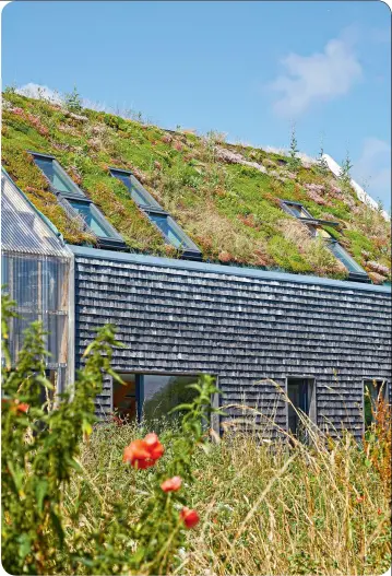  ??  ?? Les fenêtres de toit ( Velux) se fondent dans la végétation de la toiture.