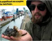  ??  ?? A magnificen­t sea scorpion for Jack Perks.