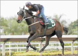  ?? HONG KONG JOCKEY CLUB ?? Pakistan Star refused to race in June in the Champion’s Plate Handicap and has missed training time with a foot bruise.