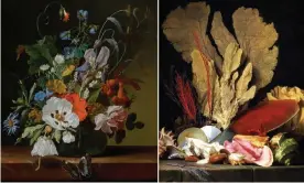  ?? Photograph: Sotheby's/Alamy ?? Flowers in a vase on a ledge with a dragonfly, caterpilla­r, and butterfly by Rachel Ruysch, left, and Tuft of Marine Plants, Shells and Corals by Anne Vallayer-Coster.