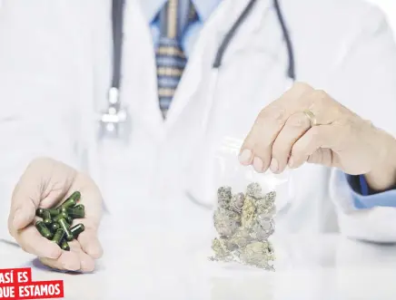  ??  ?? ASÍ ES
QUE ESTAMOS
Al 19 de enero, Salud tenía registrado­s 16,376 pacientes de cannabis medicinal, cuya edad promedio es de 52 años. Las condicione­s con más usuarios son ansiedad, dolor crónico, artritis, espasmos musculares y cáncer.