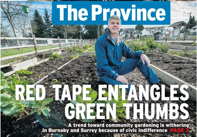  ?? ARLEN REDEKOP/PNG ?? Grant Rice, shown at Lionel Courchene Park community garden in Surrey, says Surrey is lagging in providing public space for low-income gardeners.