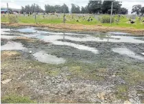  ?? Pictures: DEVON KOEN ?? FILTHY PLACE: Raw sewage filling gardens and flowing into the nearby cemetery in Manqindini location