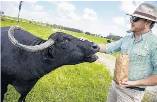  ??  ?? Jack West, manager at Safari Wilderness, feeds a water buffalo during an ATV safari in Lakeland.