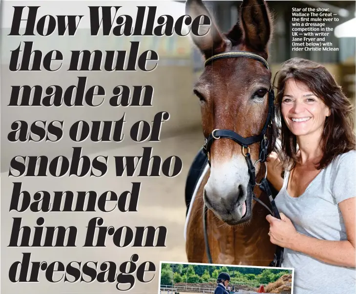  ??  ?? Star of the show: Wallace The Great — the first mule ever to win a dressage competitio­n in the UK — with writer Jane Fryer and (inset below) with rider Christie Mclean Pictures: MARK RICHARDS/SWNS