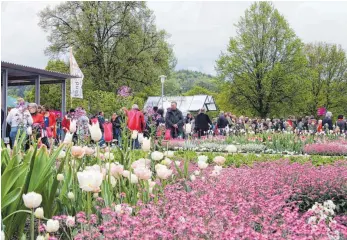  ?? FOTO: ARCHIV/SZ ?? Die Landesgart­enschau in Sigmaringe­n 2013 hat rund 600 000 Besucher angezogen.