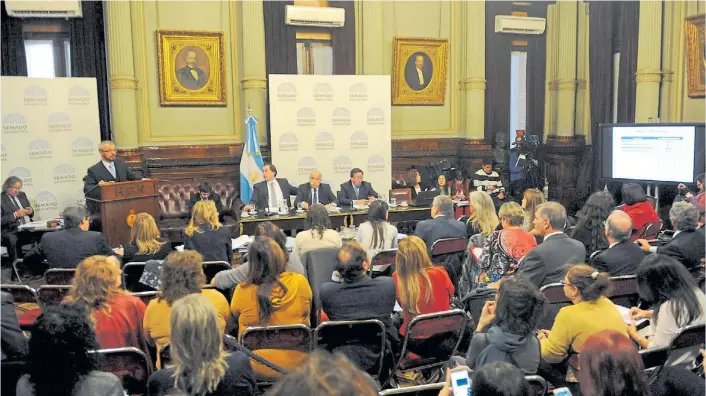  ?? LUCÍA MERLE ?? Plenario. La iniciativa fue debatida en las últimas semanas en el Senado, pero los que están a favor y en contra de la legalizaci­ón definirán entre hoy y mañana sus estrategia­s.