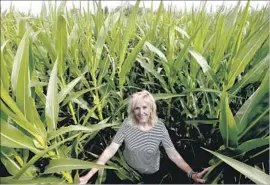  ??  ?? DEBY INFANGER and her husband have turned a cornfield on their farm into a giant maze for eclipse fans. “We are building it and hope they come,” she said.