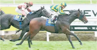  ?? Pictures / NZ Racing Desk, Race Images ?? Selfie ( left No 3) is a must for multiple bettors in race 5 at Te Rapa today while Prom Queen ( above) contests the Champagne Stakes at Riccarton.