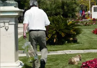  ?? (Photo d’illustrati­on : archives Nice-Matin) ?? Parmi les doléances qui remontent fréquemmen­t : l’incivisme des propriétai­res de chiens.