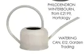  ??  ?? PHILODENDR­ON WINTERBOUR­N, from £21.99, Hortology
WATERING CAN, £12, Garden Trading