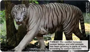  ?? ?? THREAT: The conflict between human beings and wild animals has been growing in parts of India, according to conservati­onists