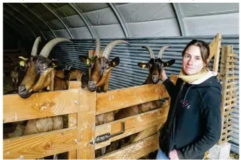  ??  ?? Mathilde espère vivre du produit de ses chèvres dans les années à venir.