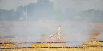  ?? GURPREET SINGH/HT ?? According to the data obtained from Punjab Agricultur­al University’s remote sensing centre, a total of 13,558 incidents of farm fires were reported across the state till Thursday.