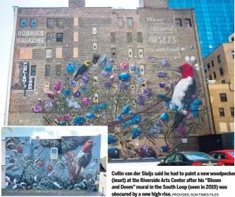  ?? PROVIDED, SUN-TIMES FILES ?? Collin van der Sluijs said he had to paint a new woodpecker (inset) at the Riverside Arts Center after his ‘‘Bloom and Doom’’ mural in the South Loop (seen in 2019) was obscured by a new high-rise.