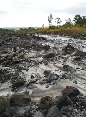  ?? MAURICIO MORA ?? La erupción del Rincón de la Vieja lanzó gran cantidad de material y lahares a altas temperatur­as.