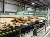  ?? Caitlan Butler / News-Times, file ?? Conifex Timber announced this week that it intended to shut down its El Dorado plant.