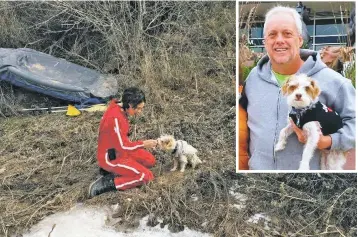  ?? COURTESY PHOTOS ?? ABOVE: A nurse tends to Randy Bilyeu’s dog, Leo, after the dog was found in January. On Tuesday, police confirmed they found Bilyeu’s remains earlier this month near the Rio Grande. INSET: Bilyeu with Leo.