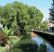  ?? (foto Gerace/LaPresse) ?? Scorci A sinistra, il Tranvai, appena aperto in via Tirano. Sopra, un tratto del Naviglio Martesana e sotto gli interni della Tipografia Alimentare