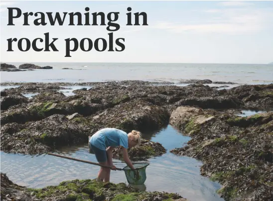  ??  ?? Above: Rose Petherick checks her prawn net Right from top: the writer with his brother; the diamond-shaped net should have equilatera­l sides of a foot to 15in; the beach at Porthpean