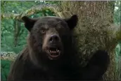  ?? UNIVERSAL PICTURES ?? “Cocaine Bear,” a comedy-horror film about a black bear that ingests cocaine, lands in theaters Feb. 24