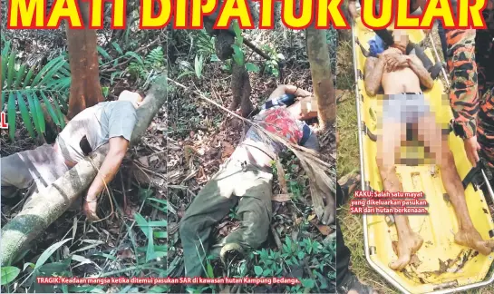  ??  ?? TRAGIK: Keadaan mangsa ketika ditemui pasukan SAR di kawasan hutan Kampung Bedanga. KAKU: Salah satu mayat yang dikeluarka­n pasukan SAR dari hutan berkenaan.