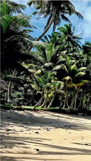  ?? PHOTOS: LORNA THORNBER/ STUFF ?? Vavau Beach is a tropical island cliche brought to life.