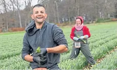  ??  ?? Doina and her husband Ion, who are originally from Romania, at Salmon’s Farm.