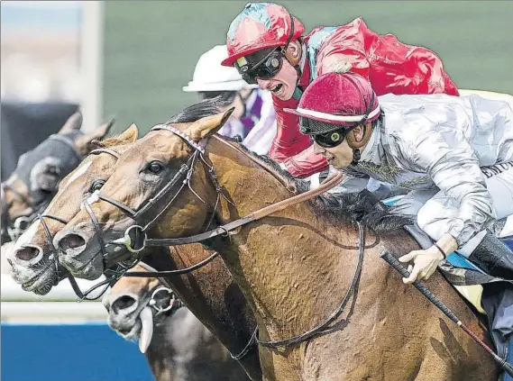  ?? FOTO: GETTY IMAGES ?? ‘Waldgeist’ parte como uno de los favoritos para llevarse el triunfo en el Irish Derby que se disputa esta tarde en el hipódromo irlandés de Curragh