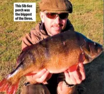  ??  ?? This 5lb 6oz perch was the biggest of the three.