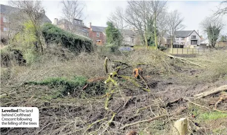  ??  ?? Levelled The land behind Crofthead Crescent following the felling of the trees