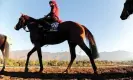  ?? Photograph: Pat Healy/racingfoto­s.com/ REX/Shuttersto­ck ?? Racehorse Anthony Van Dyck was euthanised after breaking down on the home straight during the 2020 Melbourne Cup.