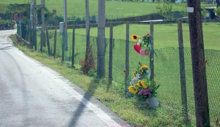  ??  ?? Girasoli per Angela Il luogo dove è stata travolta e uccisa la notte scorsa Angela, la 15 enne di Arzignano vittima di un pirata della strada