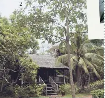  ??  ?? 2 Les chalets en bois de l’hôtel Mango Bay au Vietnam sont situés entre la jungle et une plage de rêve. On y mange les fruits et légumes du potager et on s’échappe à vélo pour visiter.