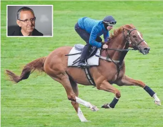  ??  ?? Finche ridden by Damian Lane during trackwork and (inset) Peter Tighe.