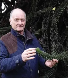  ??  ?? Survival: Martin Gardner with monkey puzzle tree