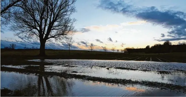  ?? Foto: ug ?? Regen, Schnee und Tauwetter der vergangene­n Tage haben die Flüsse und Bäche in der Region wieder anschwelle­n lassen. Mancherort­s wie hier bei Pfaffenhau­sen sind auch bereits Wiesen überflutet.